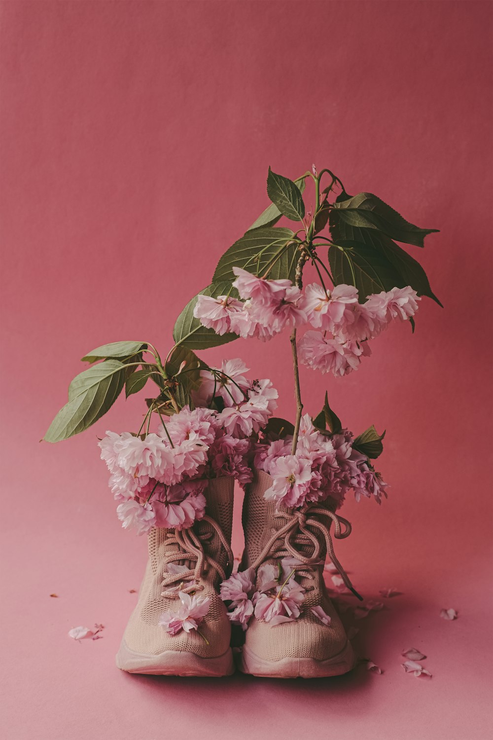 a pair of boots with flowers in them on a pink background