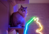 A fluffy cat sits on a perch with a colorful neon outline of a cat on a brick wall in the background. The lighting gives the room a cozy, modern atmosphere, highlighting the cat's fur.