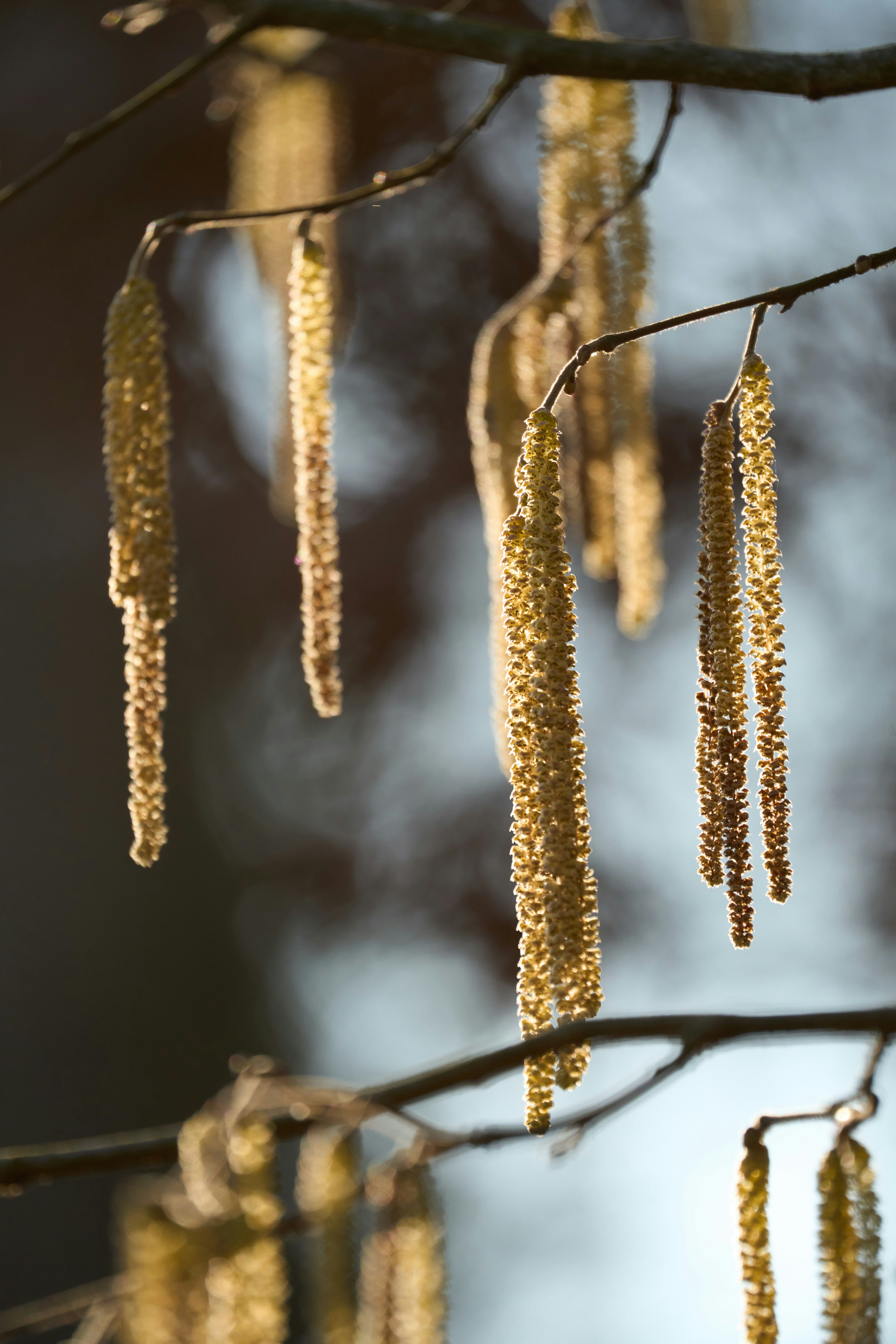 Photo by wolfgang_hasselmann