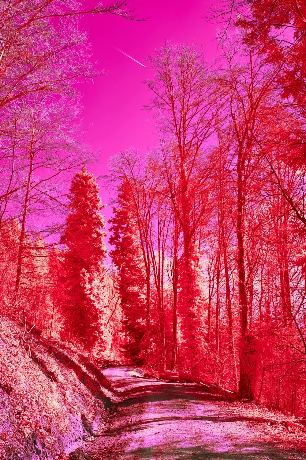 a red infrared image of a road in the woods