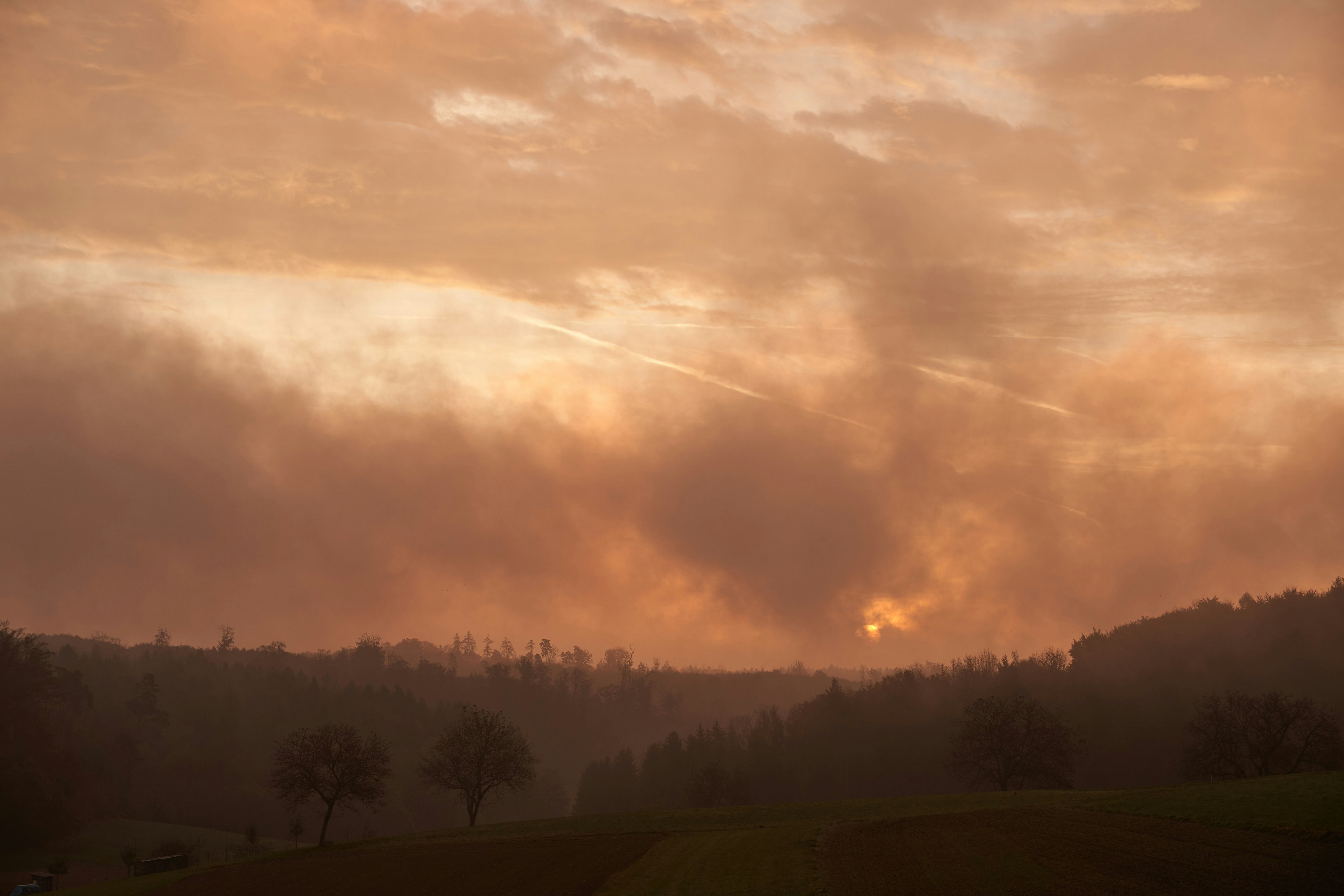 Photo by wolfgang_hasselmann