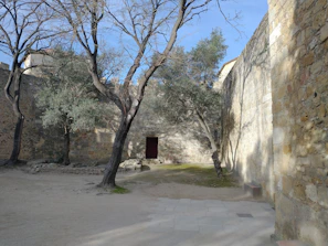 A quiet, empty courtyard bathed in soft afternoon light.