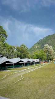 A panoramic view of festival tents and food trucks nestled among tall pine trees with mountains in the background