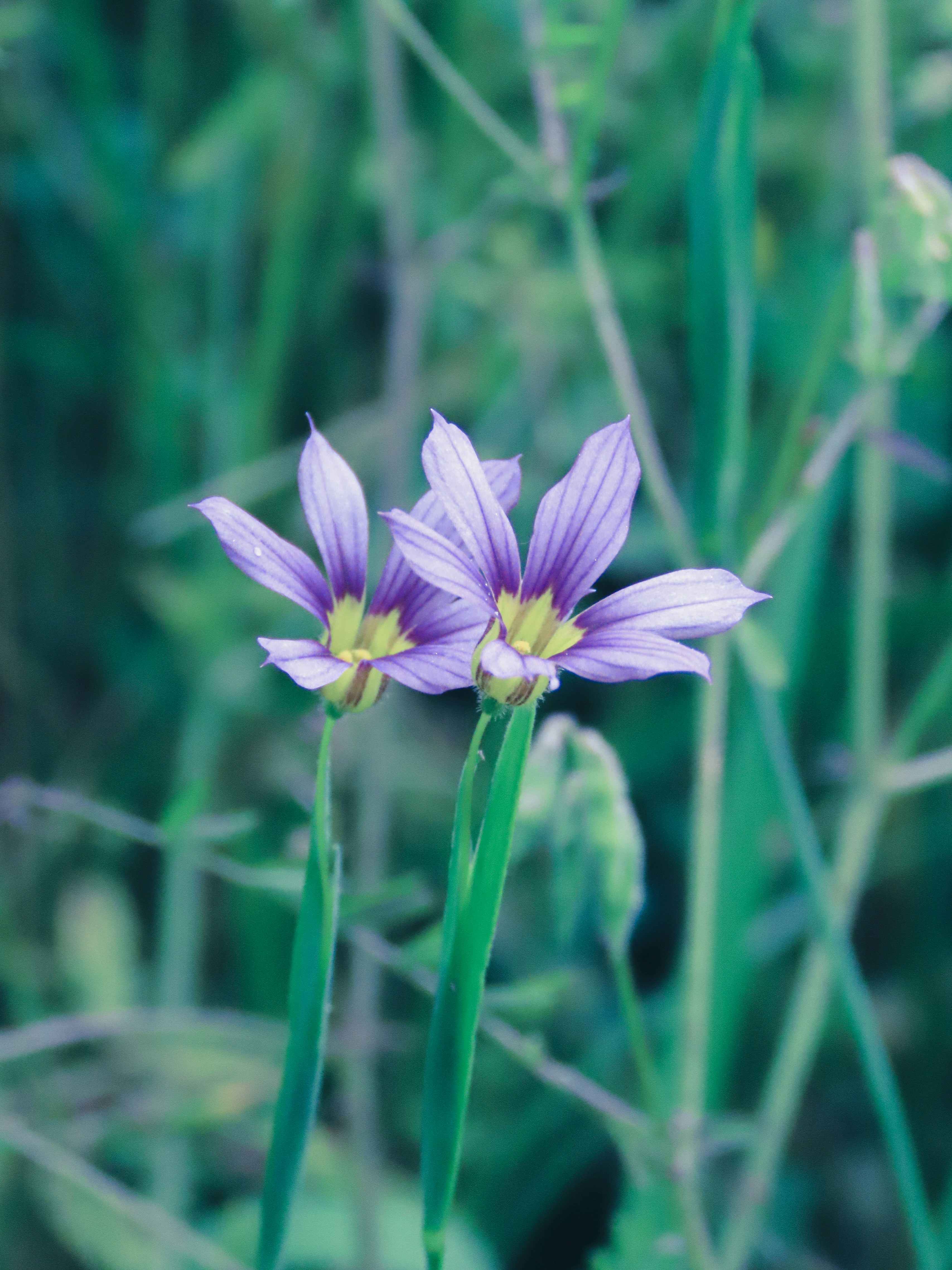 Photo by naturalphotos08