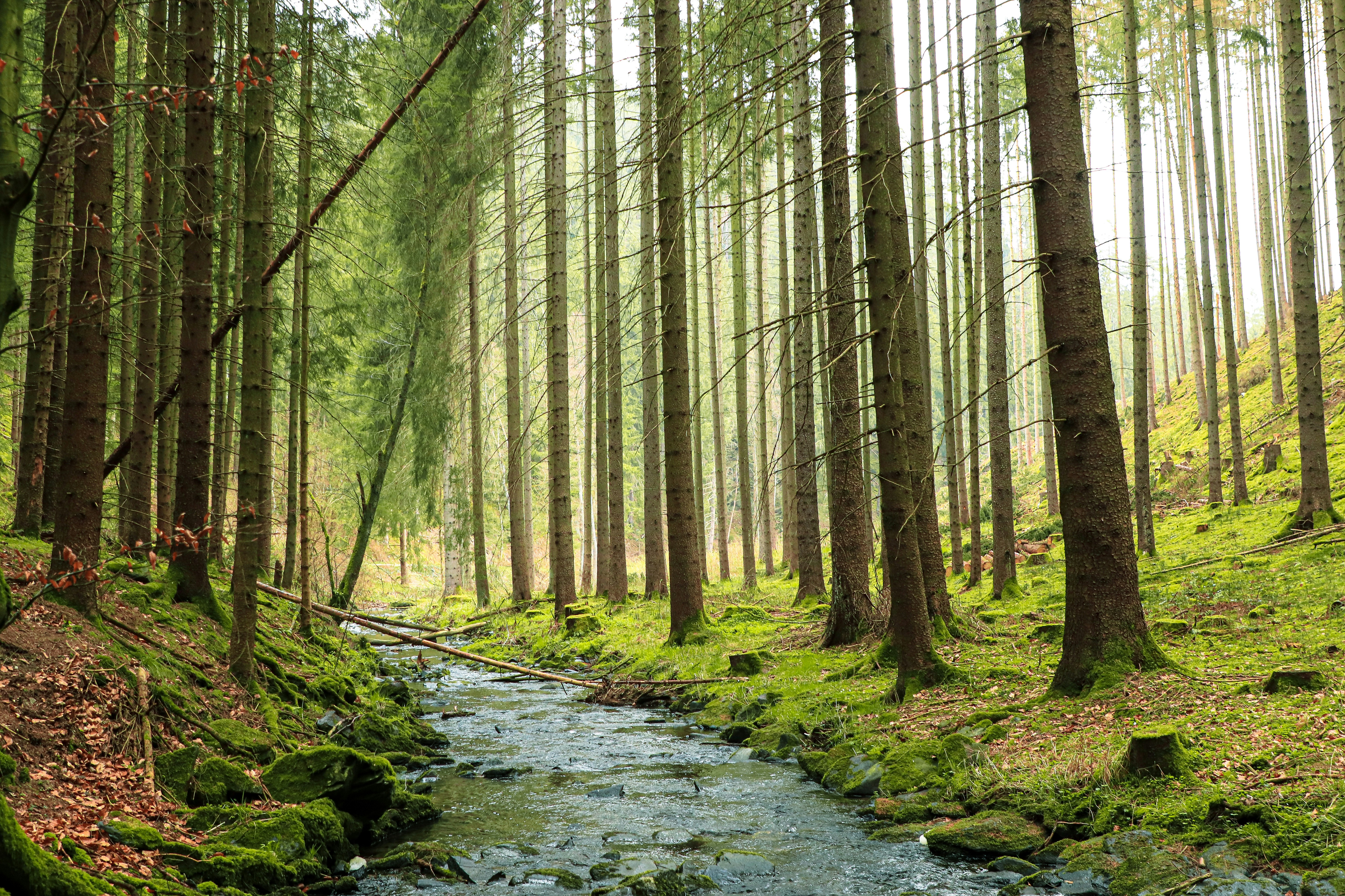 Photo by frozencloud