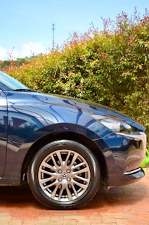The front portion of a dark blue car with focus on the wheel and headlight against a backdrop of lush green and red-leafed bushes. Sunlight reflects off the polished surface of the car, enhancing its sleek and shiny appearance.