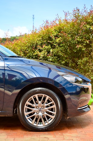 The front portion of a dark blue car with focus on the wheel and headlight against a backdrop of lush green and red-leafed bushes. Sunlight reflects off the polished surface of the car, enhancing its sleek and shiny appearance.