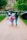 People walking down a park path on a rainy day. One individual is wearing a rain poncho with a Union Jack flag design. Several people are holding black umbrellas, and the path is lined with green grass and trees.