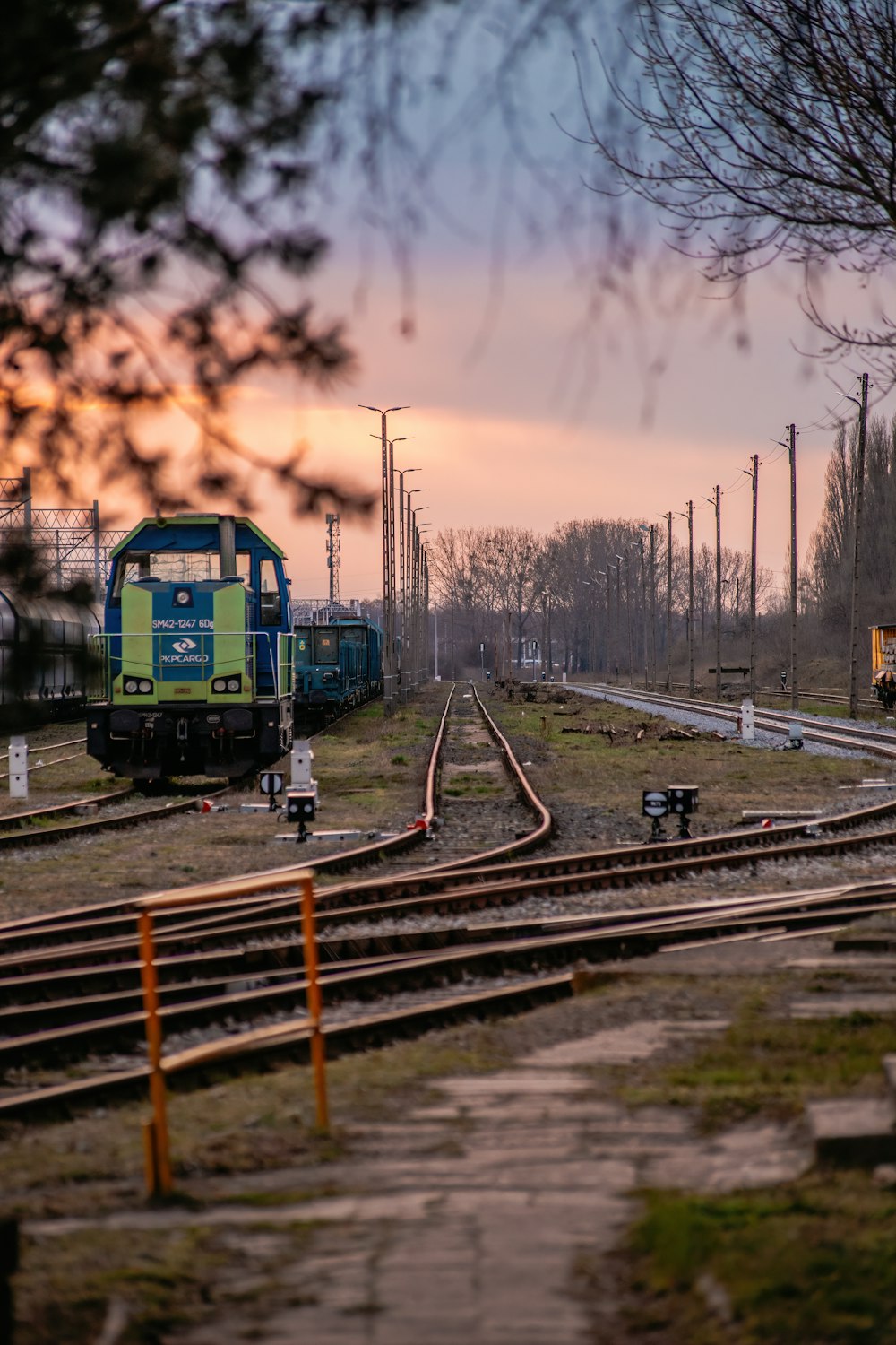 Un tren que viaja por las vías del tren junto a un bosque