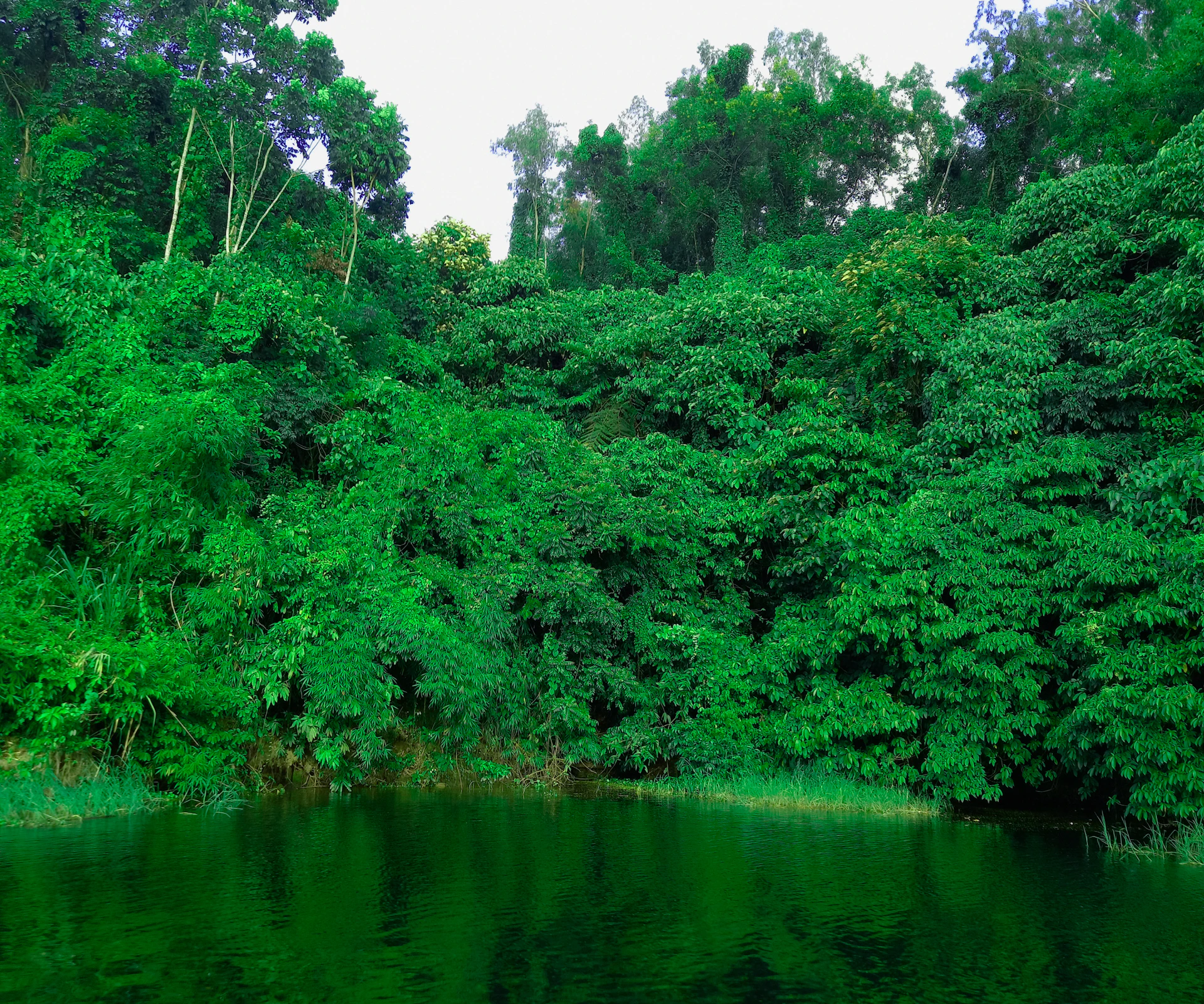 woman wearing yellow long-sleeved dress under white clouds and blue sky during daytime