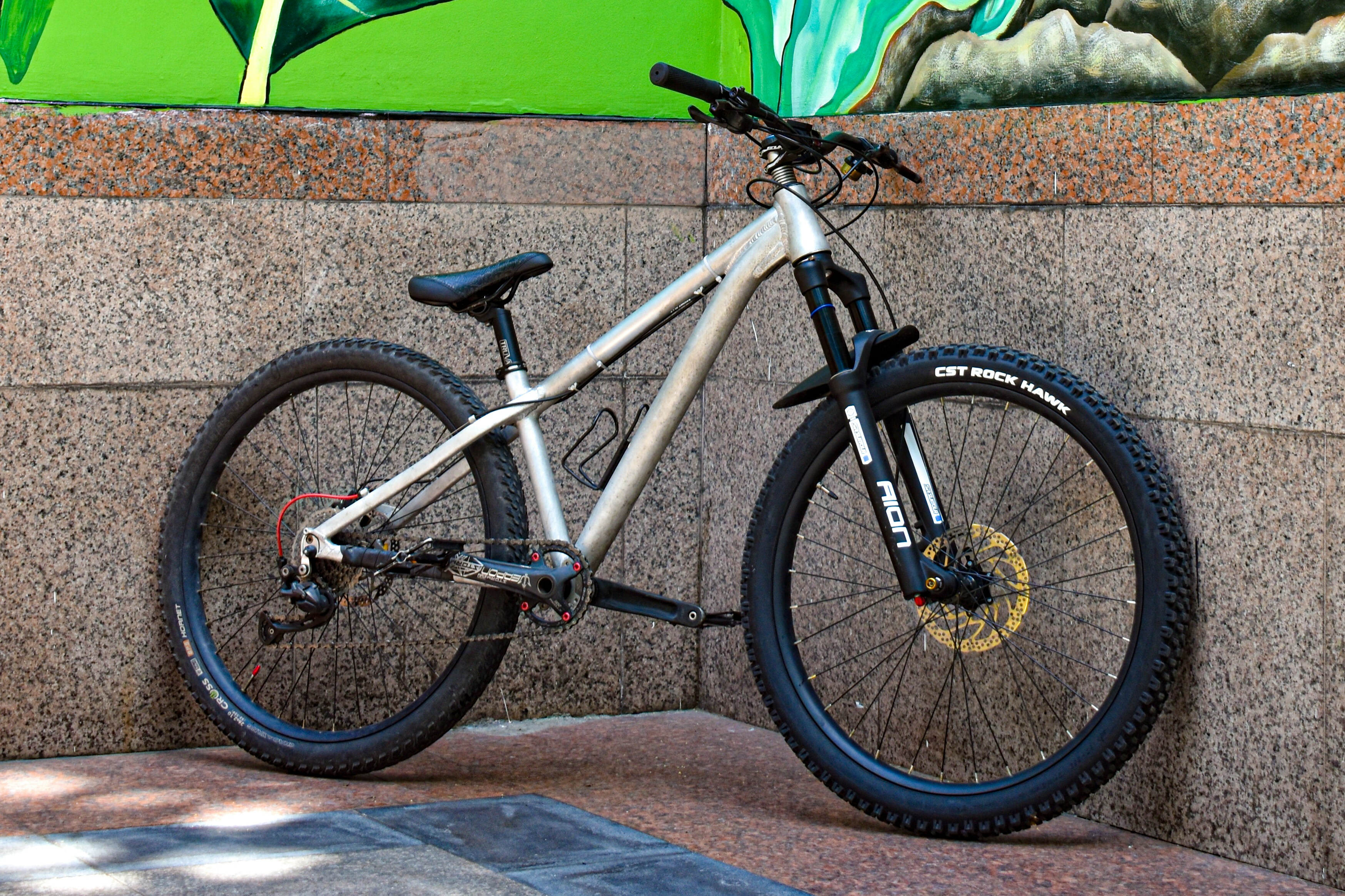 Mountain Bike