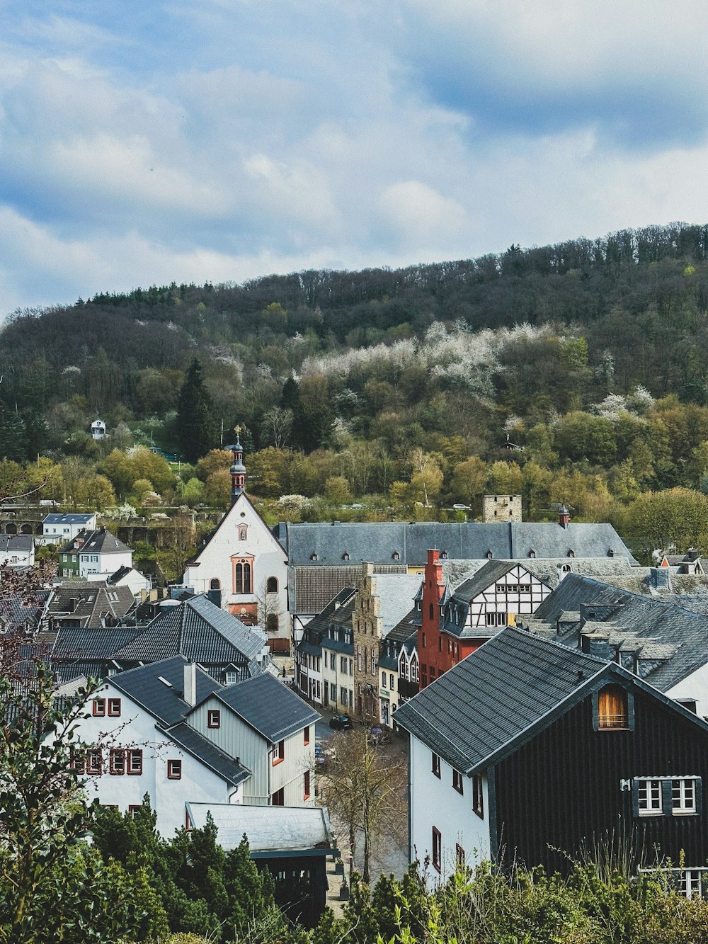 a view of a town with a mountain in the background