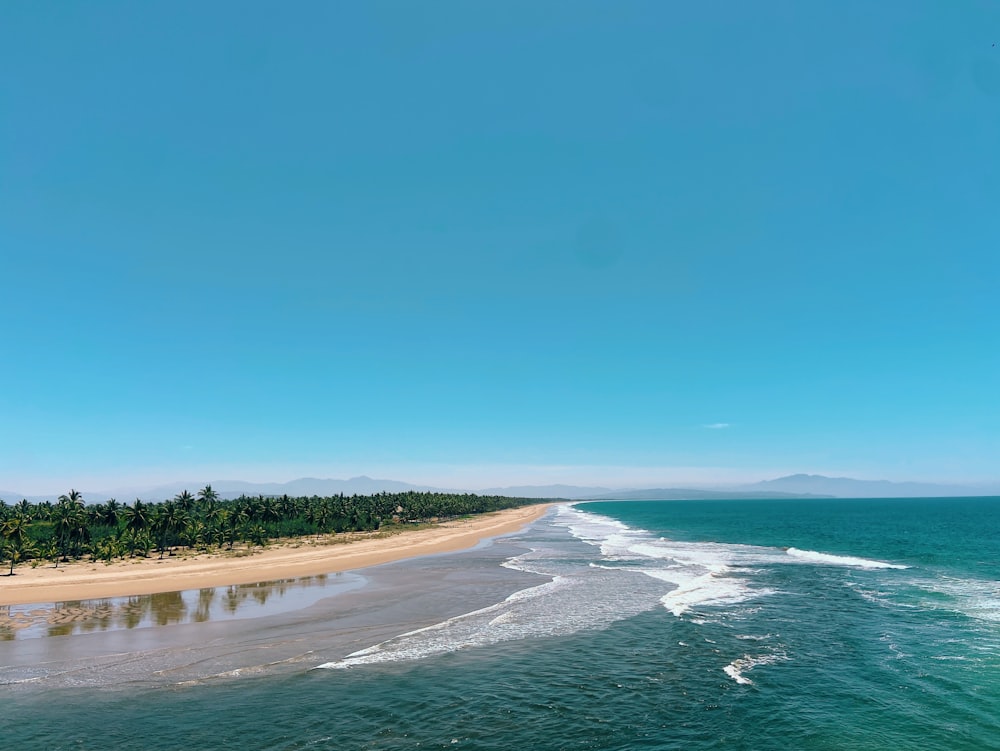 an aerial view of a beach and a body of water