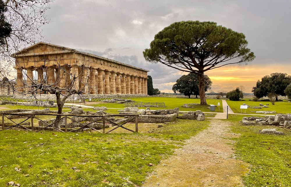 an ancient building with a tree in the foreground