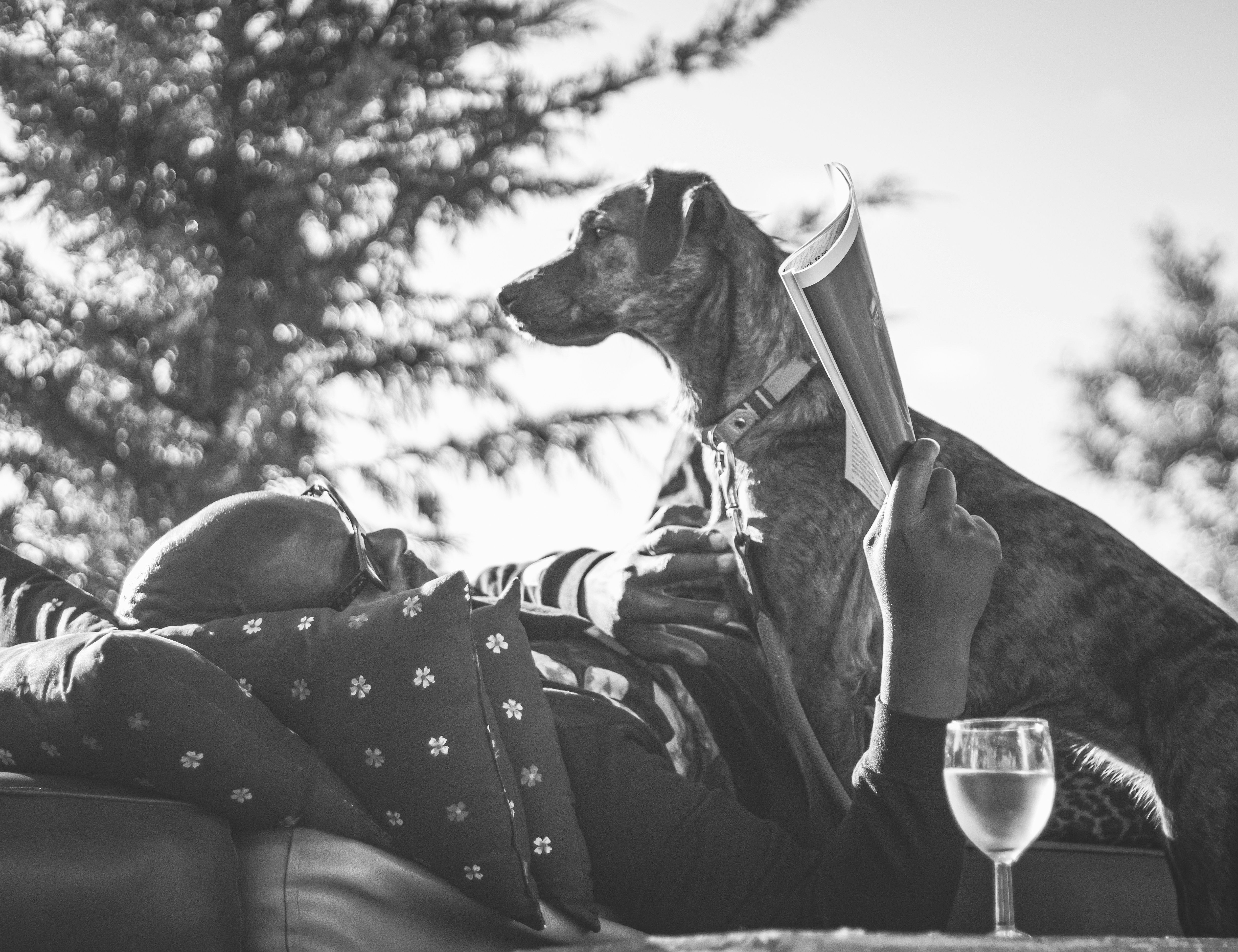 Ein Mann, der neben einem Hund auf einer Couch liegt
