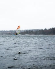 A windsurfer navigates through choppy waters under a cloudy sky. In the foreground, rain droplets create ripples on the surface of the water. The background features a silhouette of distant trees lining the shore.