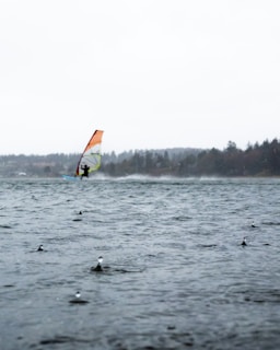 A windsurfer navigates through choppy waters under a cloudy sky. In the foreground, rain droplets create ripples on the surface of the water. The background features a silhouette of distant trees lining the shore.
