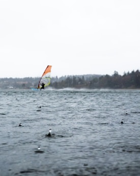 A windsurfer navigates through choppy waters under a cloudy sky. In the foreground, rain droplets create ripples on the surface of the water. The background features a silhouette of distant trees lining the shore.