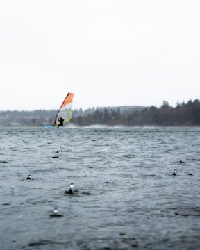 A windsurfer navigates through choppy waters under a cloudy sky. In the foreground, rain droplets create ripples on the surface of the water. The background features a silhouette of distant trees lining the shore.