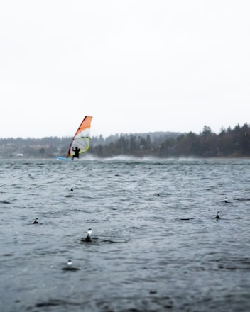 A windsurfer navigates through choppy waters under a cloudy sky. In the foreground, rain droplets create ripples on the surface of the water. The background features a silhouette of distant trees lining the shore.