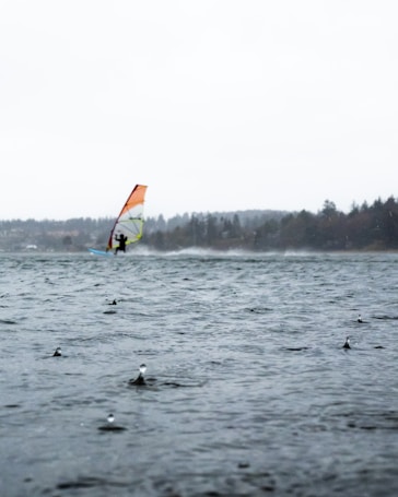 A windsurfer navigates through choppy waters under a cloudy sky. In the foreground, rain droplets create ripples on the surface of the water. The background features a silhouette of distant trees lining the shore.