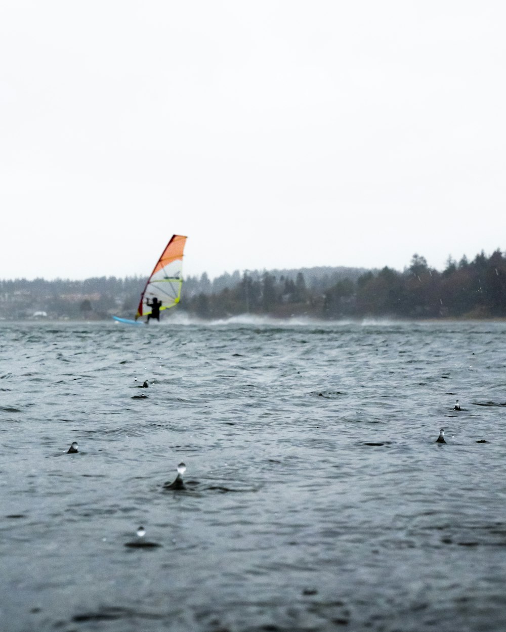 a person windsurfing in a body of water