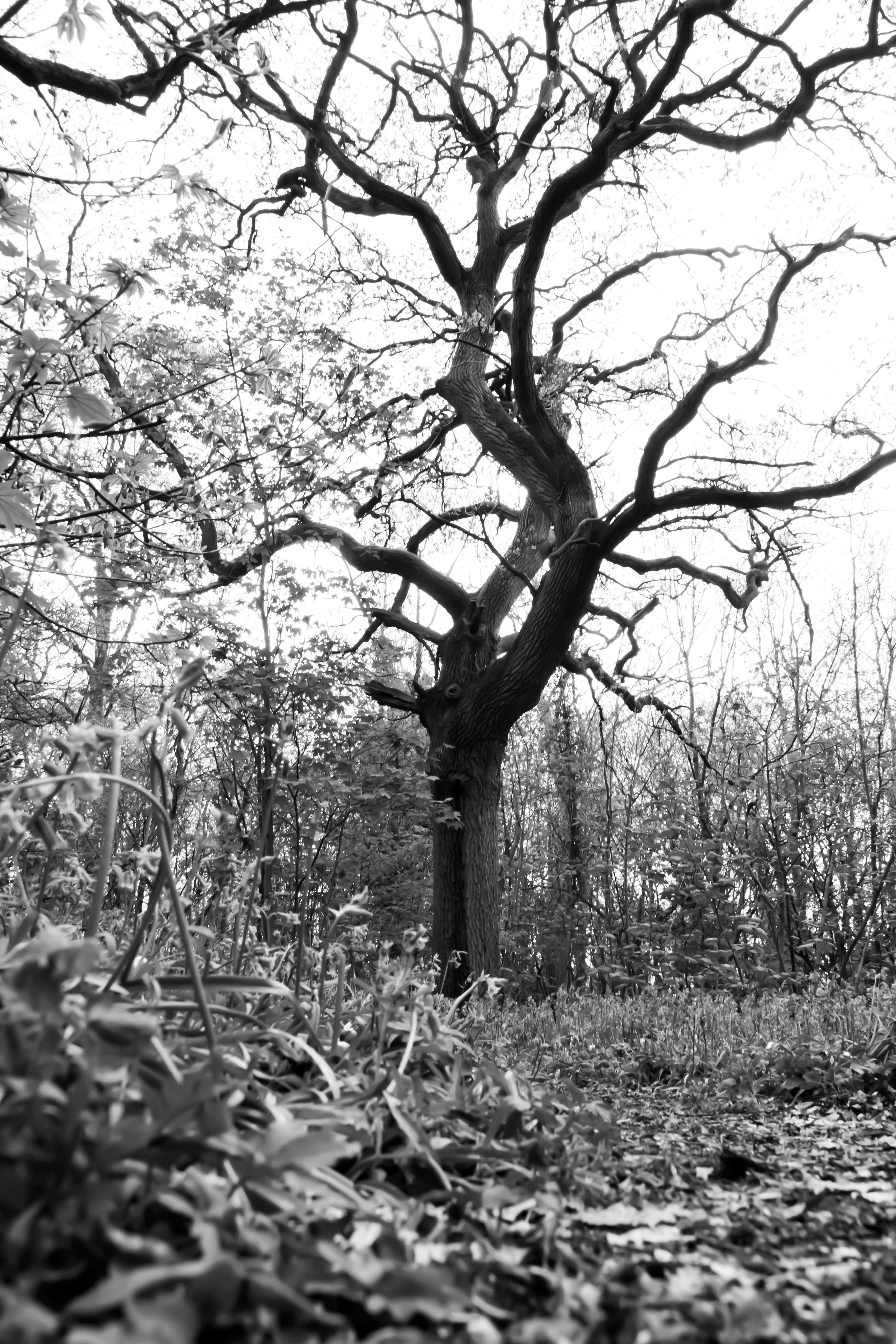 Photo by tobyjay2010