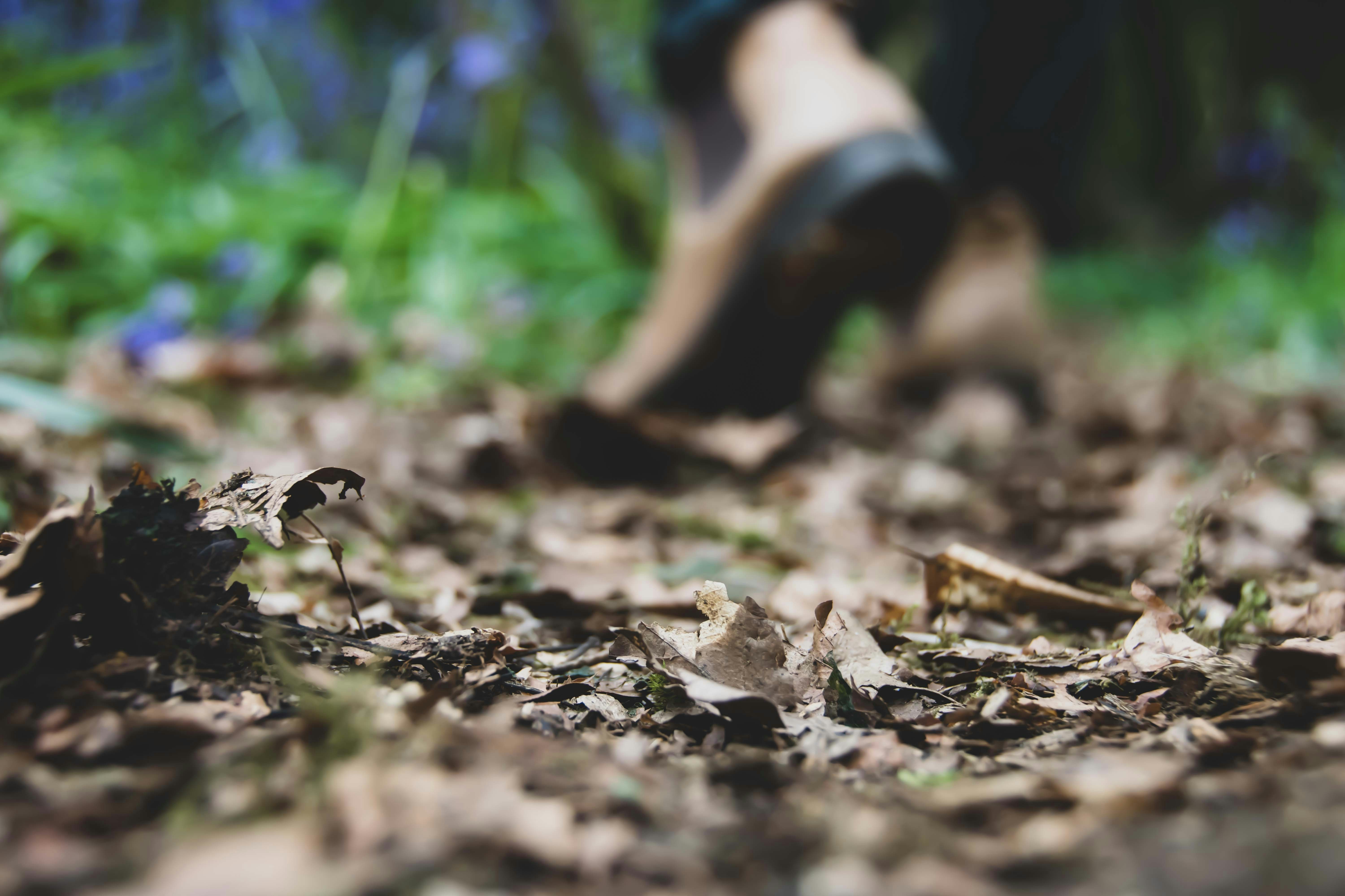 Photo by tobyjay2010