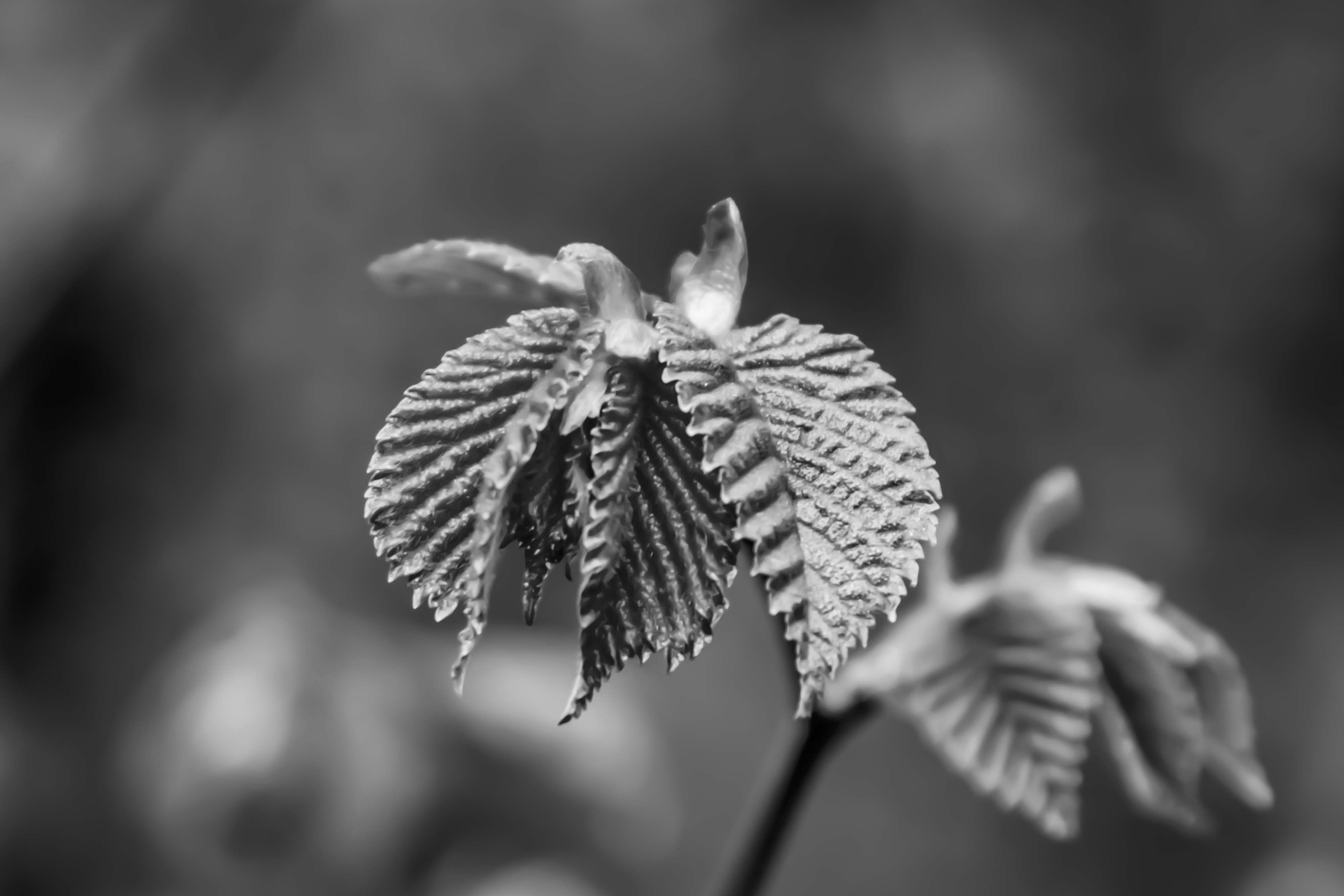 Photo by tobyjay2010