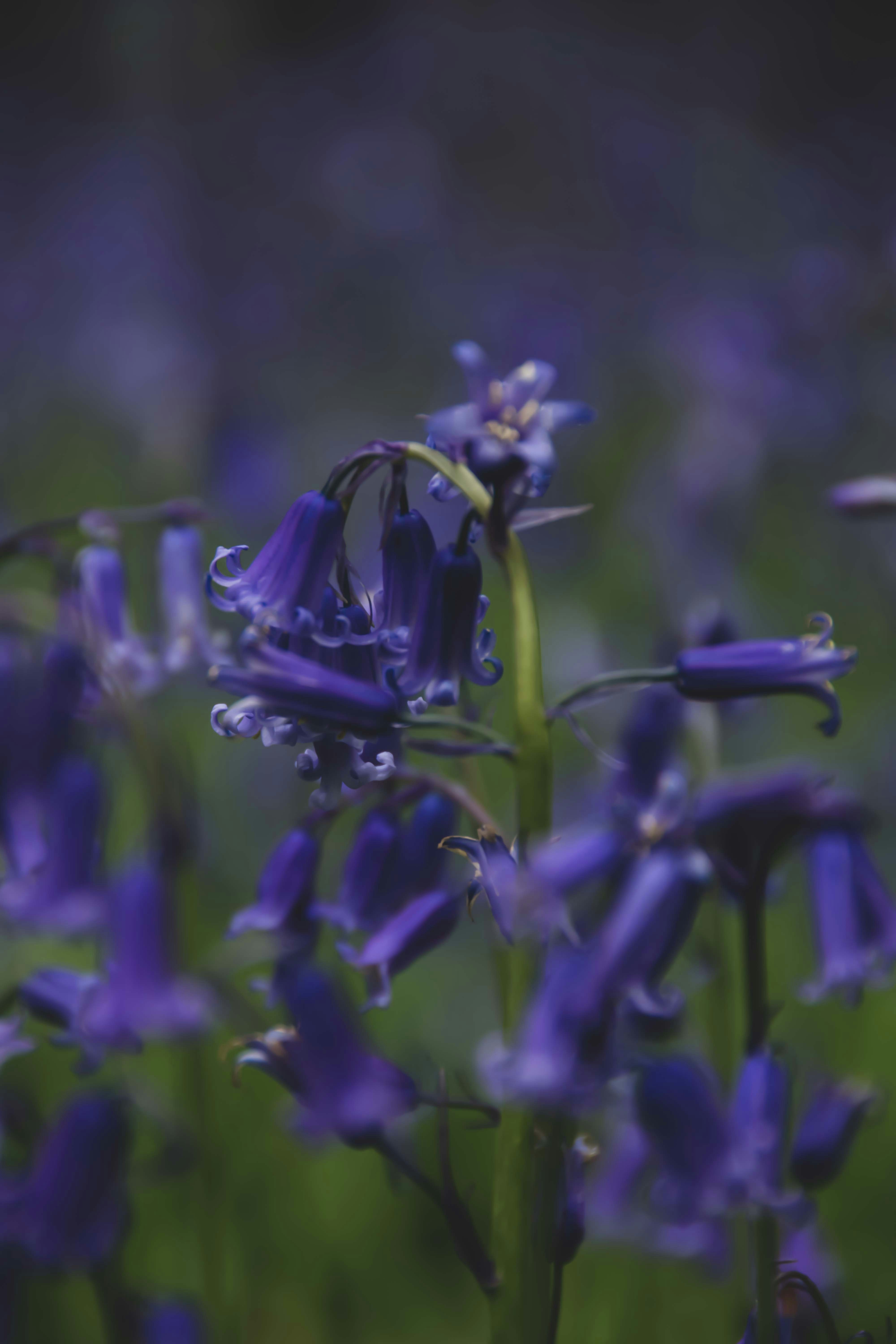 Photo by tobyjay2010