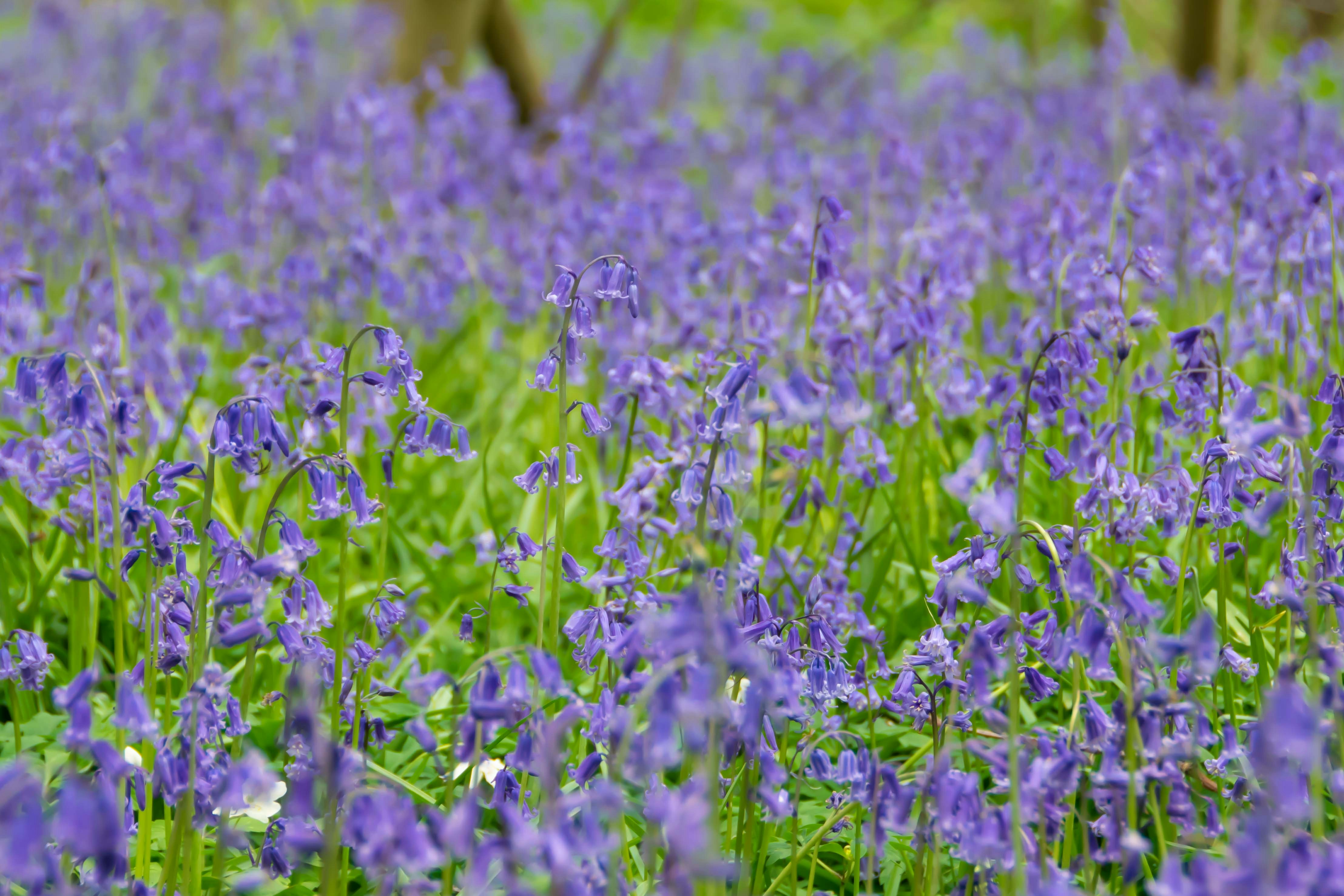 Photo by tobyjay2010