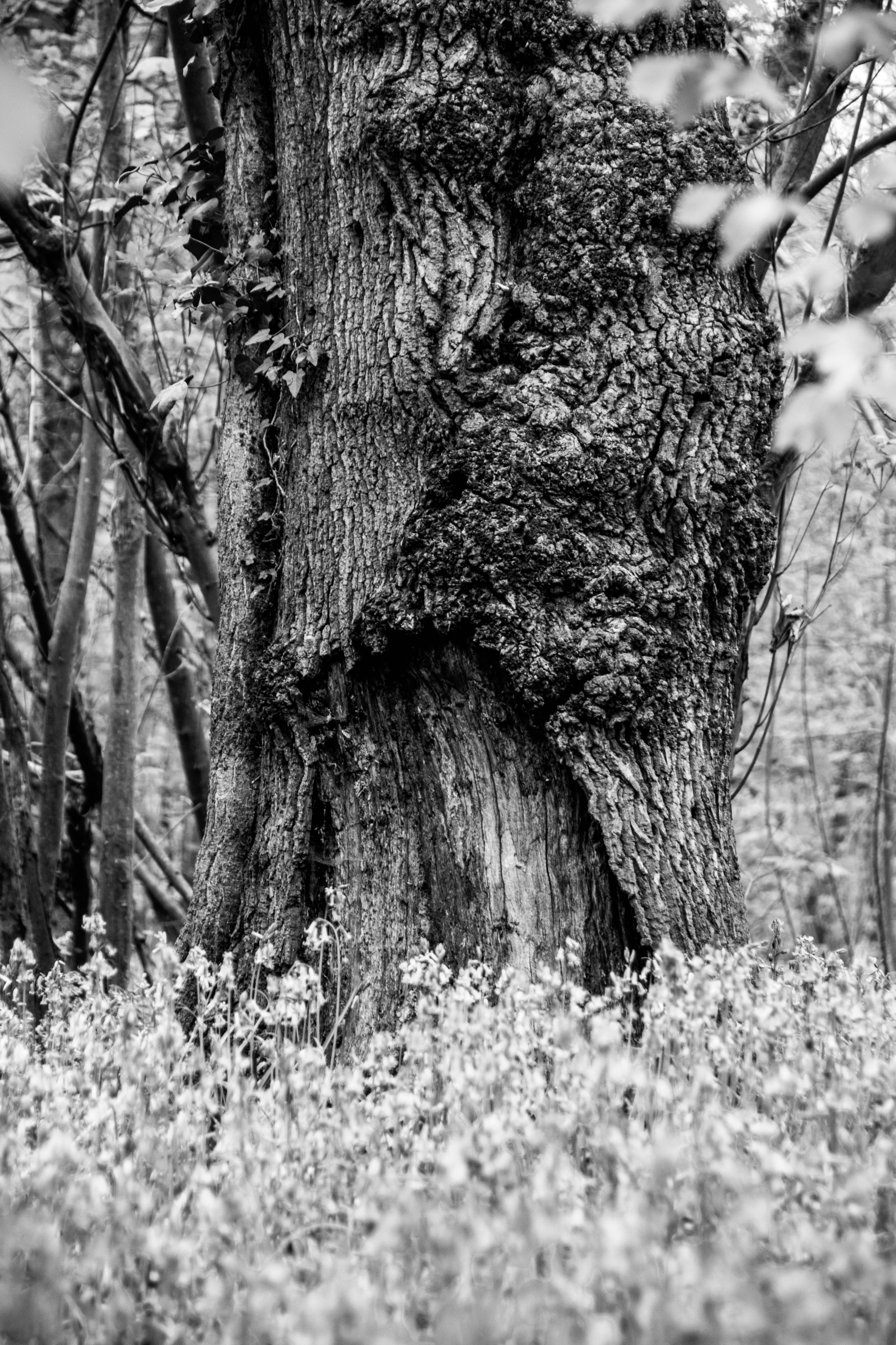 Photo by tobyjay2010