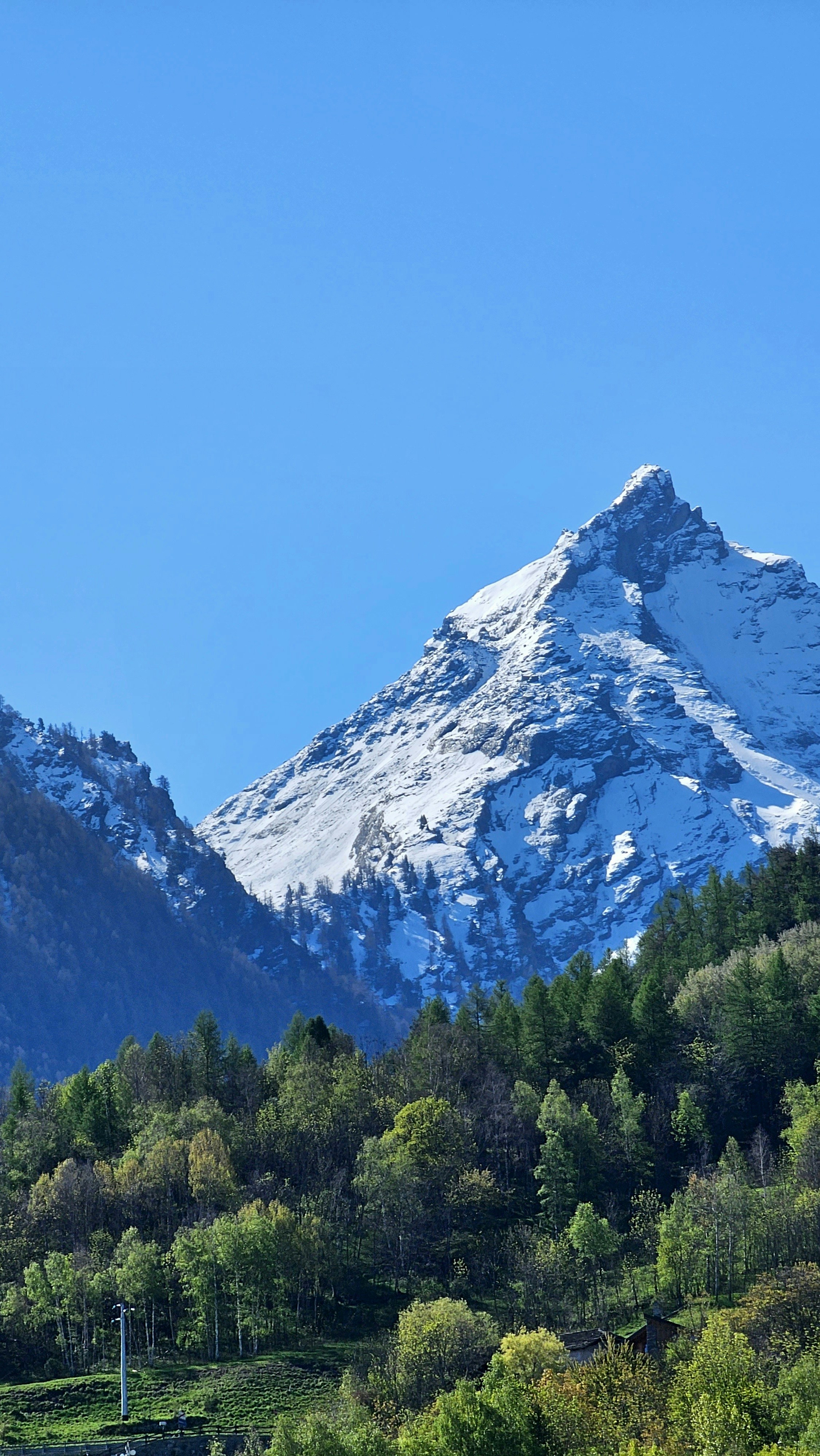 a snow covered mountain in the middle of a forest