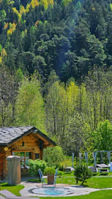 A cozy log cabin nestled in a lush forest setting with a backdrop of dense, green trees. In front of the cabin, there's a circular hot tub surrounded by well-maintained grass and a few loungers, suggesting a serene getaway spot.