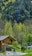 A cozy log cabin nestled in a lush forest setting with a backdrop of dense, green trees. In front of the cabin, there's a circular hot tub surrounded by well-maintained grass and a few loungers, suggesting a serene getaway spot.