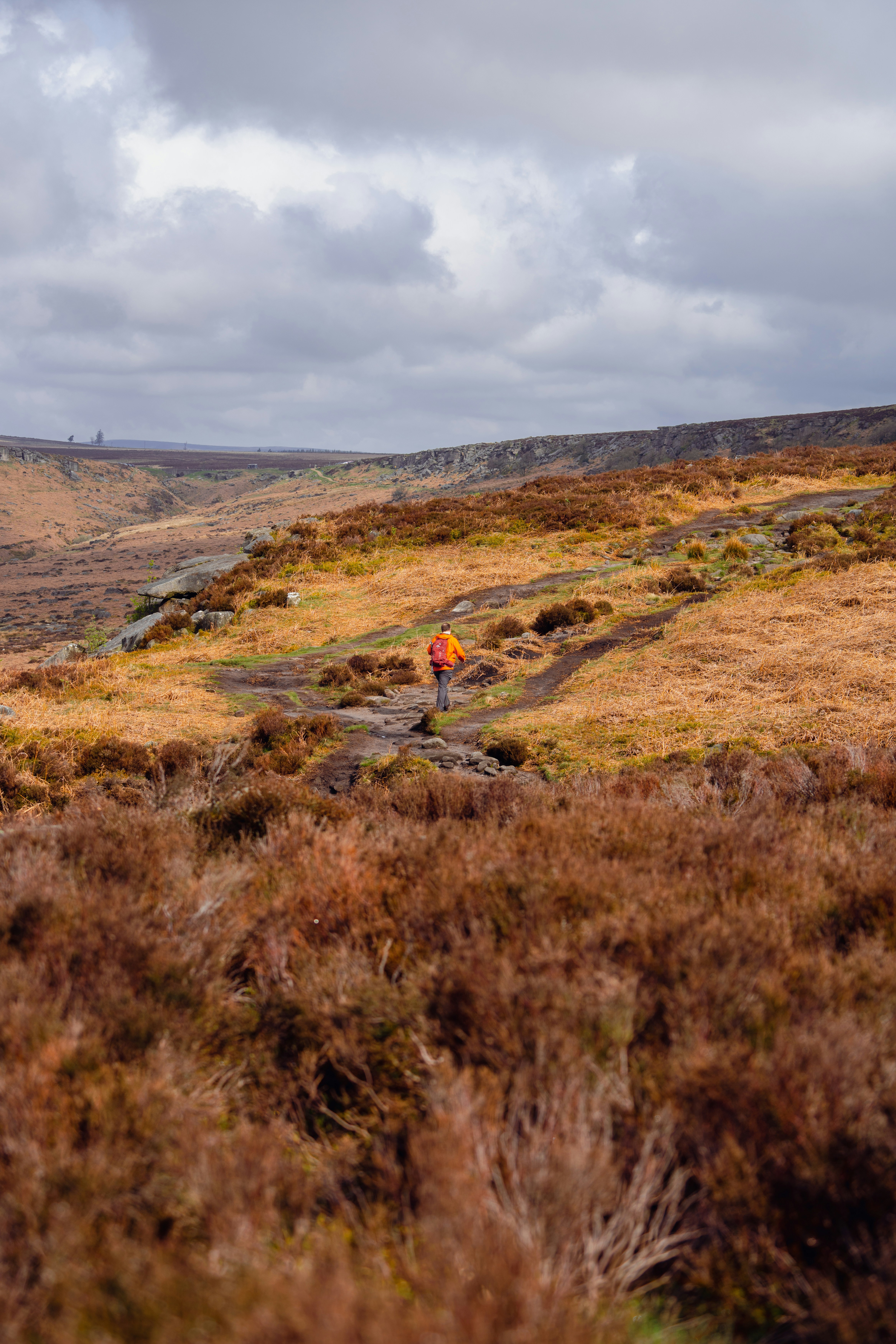 Photo by benjaminelliott