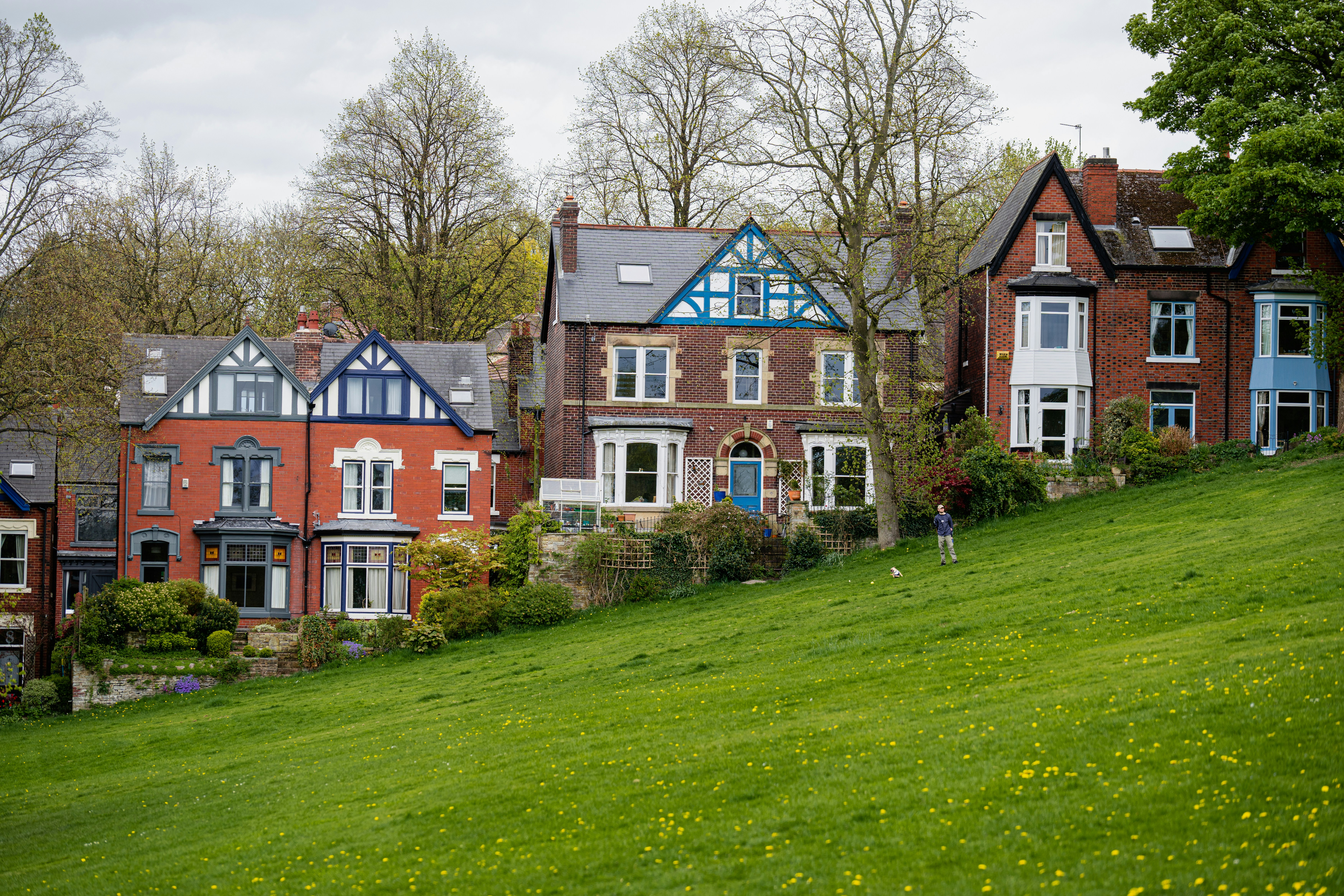 a row of houses sitting on top of a lush green hillside