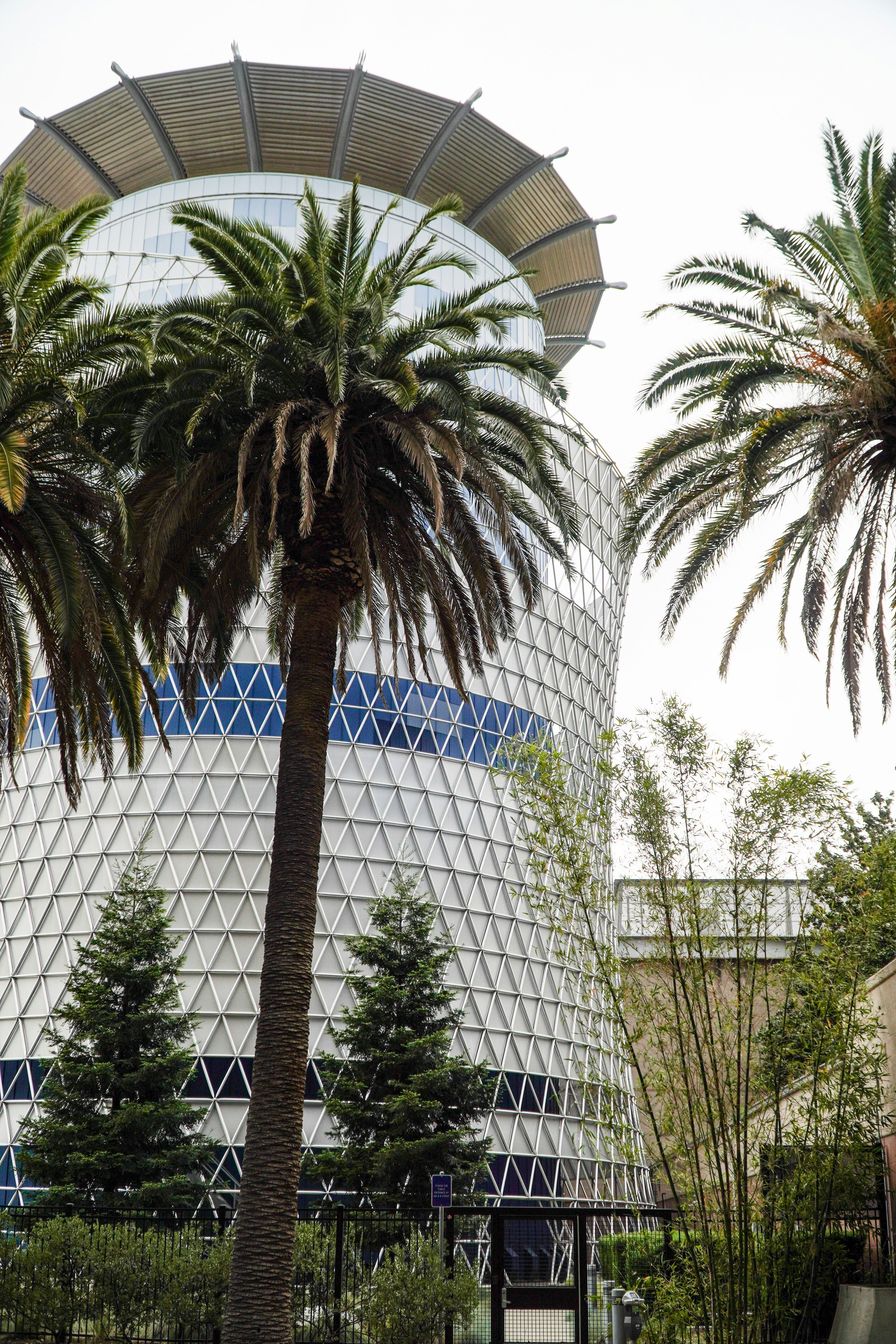 two palm trees in front of a building