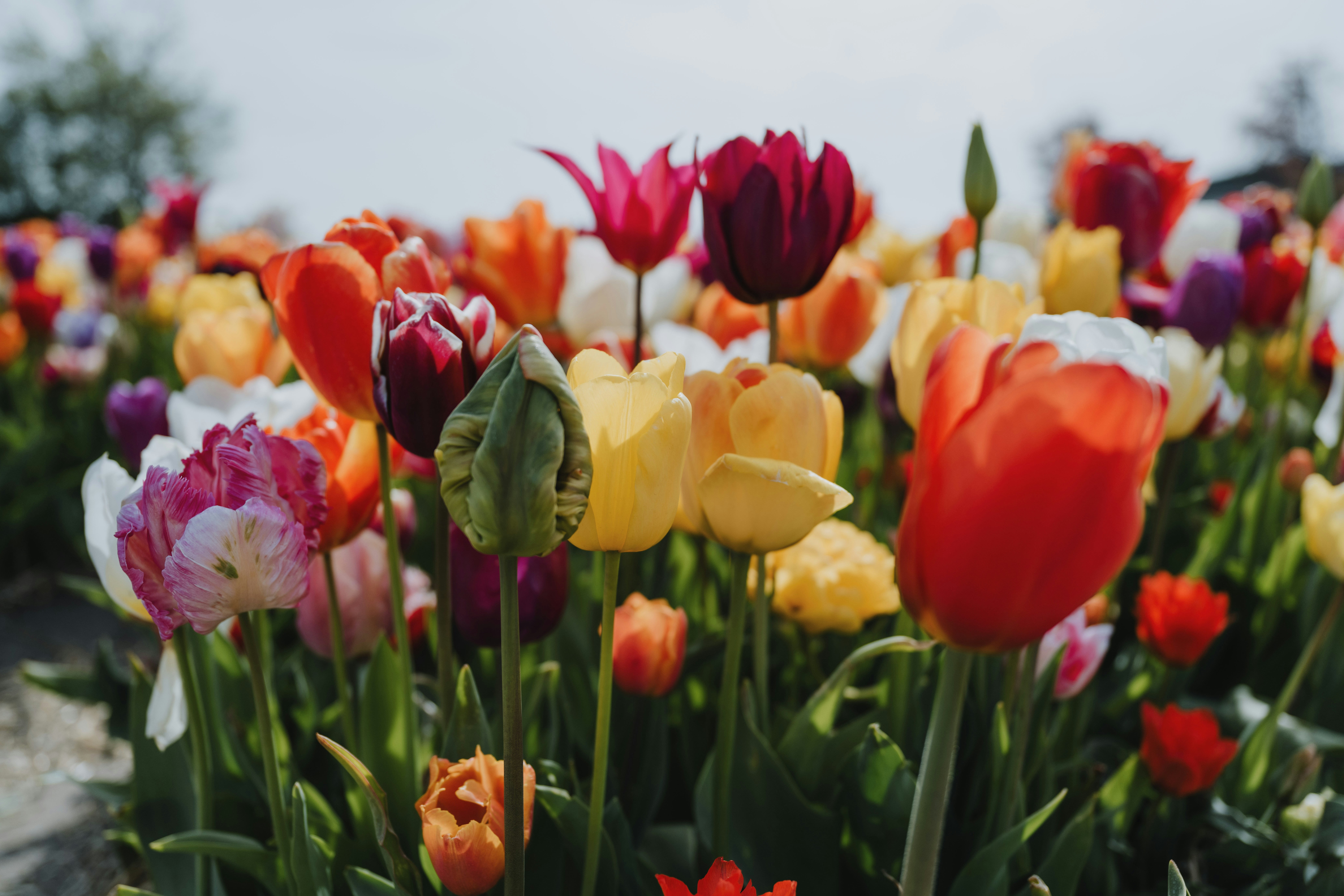 Photo by anitaaustvika