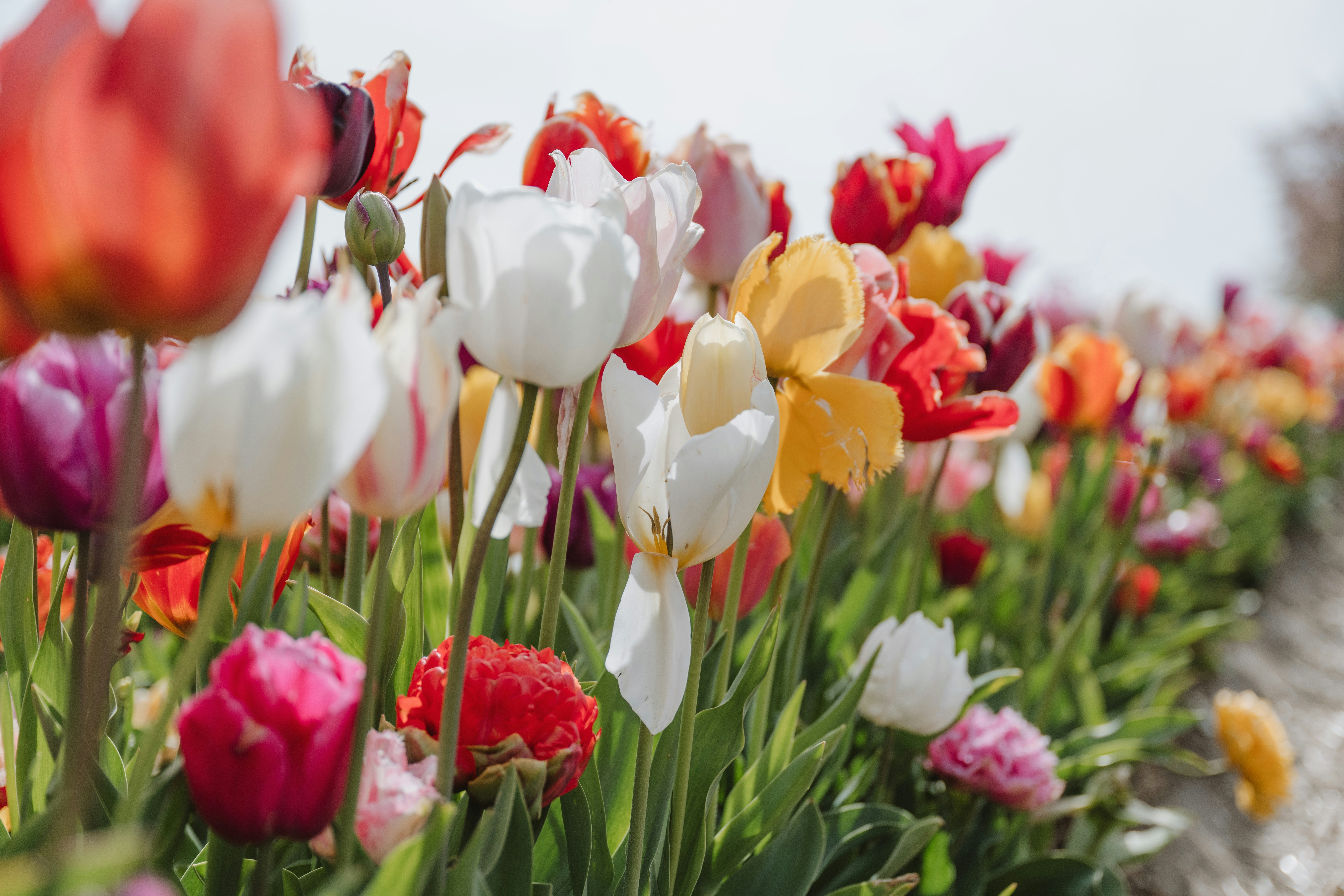 Photo by anitaaustvika