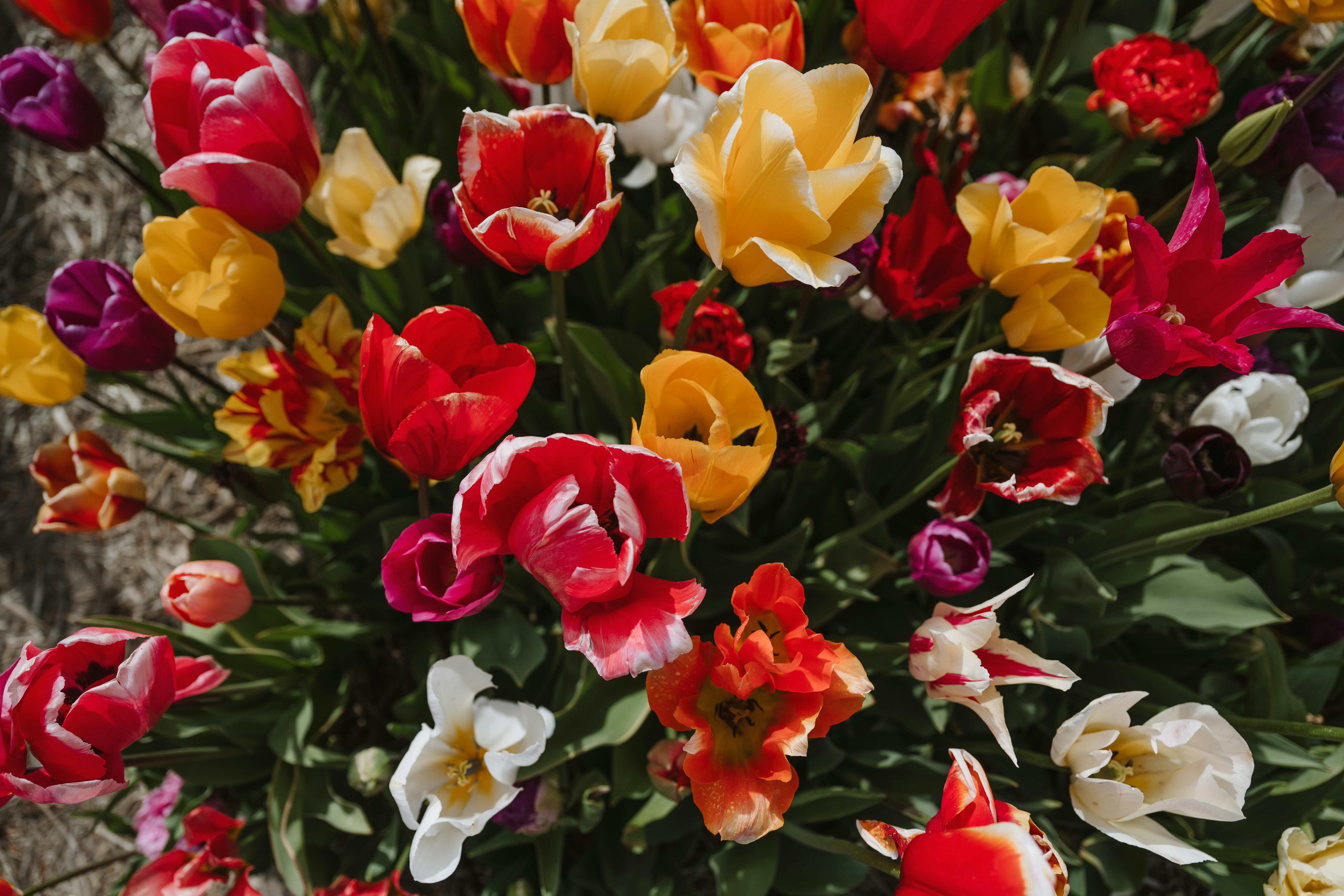 Photo by anitaaustvika