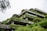 A multi-story building draped in lush green vines and shrubbery offers a harmonious blend of architecture and nature. The structure features concrete terraces and large windows, with trees and plants adorning the levels, creating a vertical garden effect.