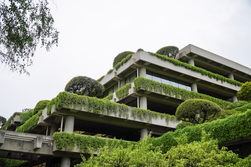 a building with a lot of plants growing on it