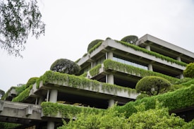 A multi-story building draped in lush green vines and shrubbery offers a harmonious blend of architecture and nature. The structure features concrete terraces and large windows, with trees and plants adorning the levels, creating a vertical garden effect.