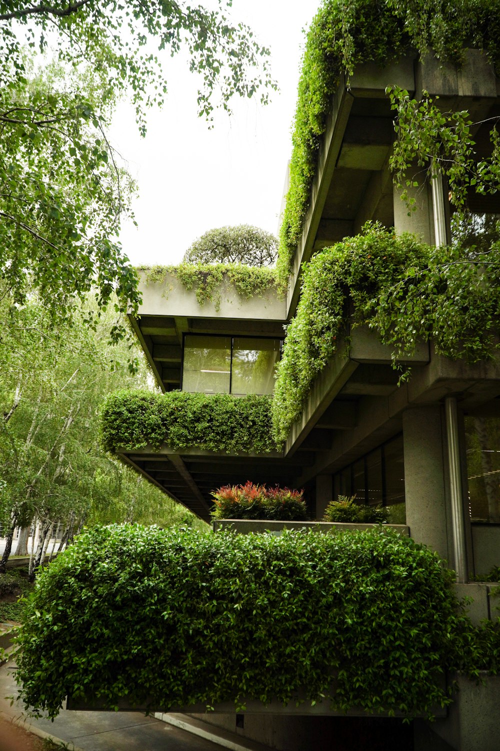 um edifício muito alto coberto de muitas plantas verdes
