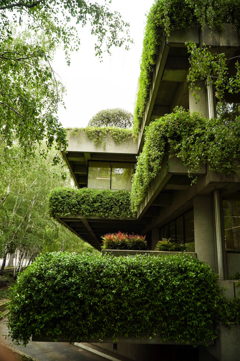 Un très grand bâtiment couvert de beaucoup de plantes vertes