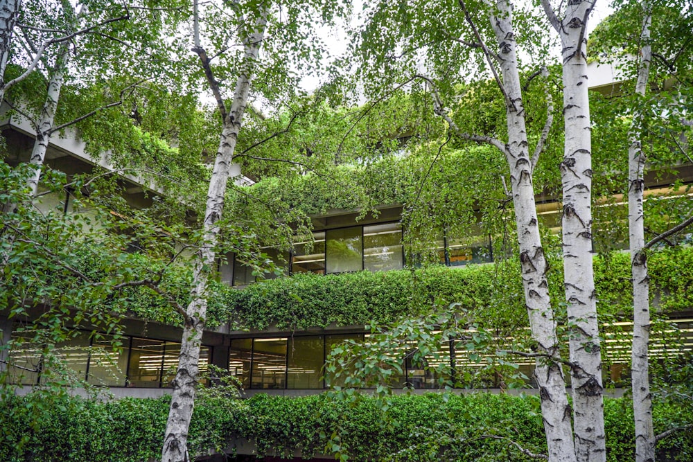 a building with a lot of trees in front of it