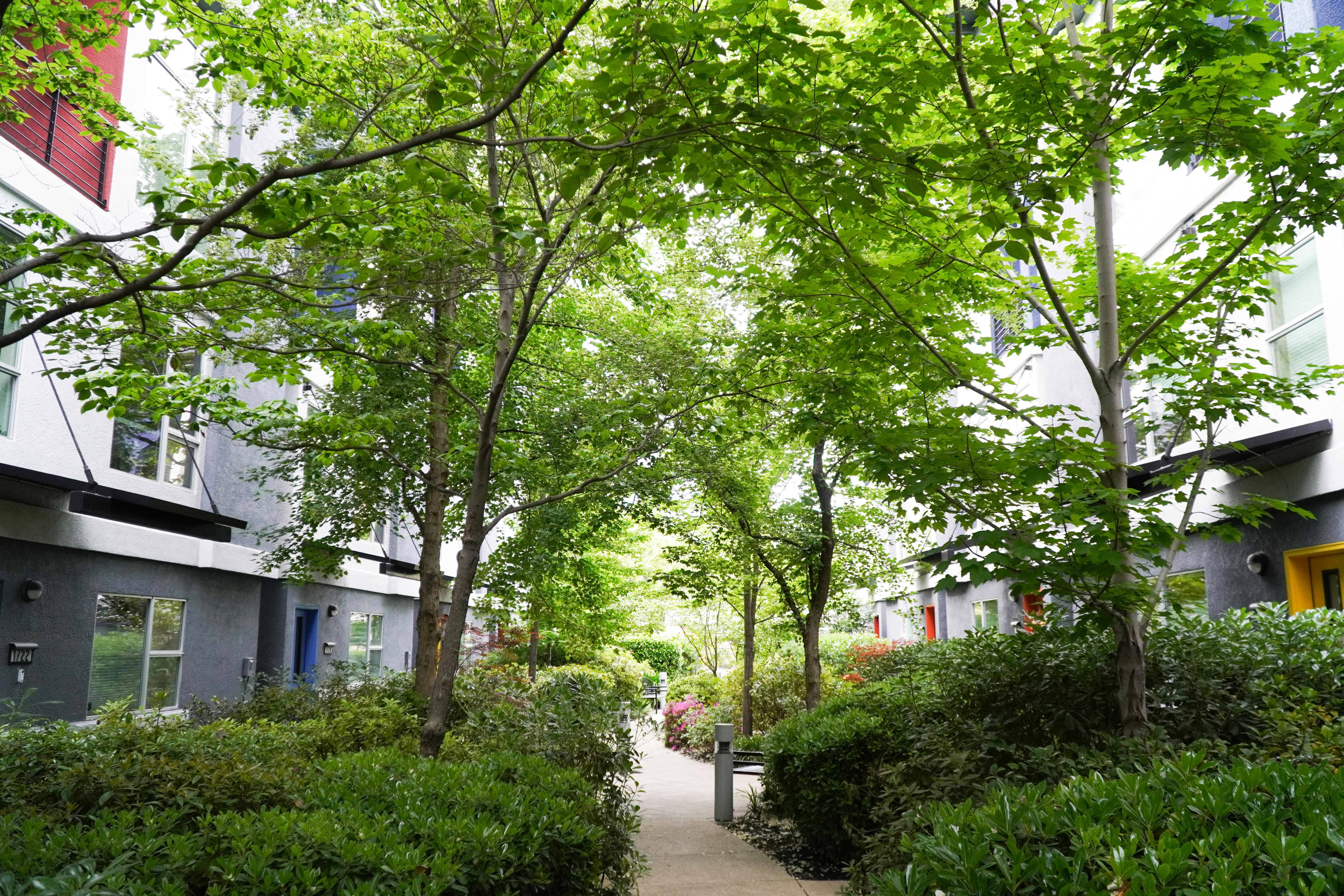 Lush green landscape corridor between modern office buildings with walking paths and trees