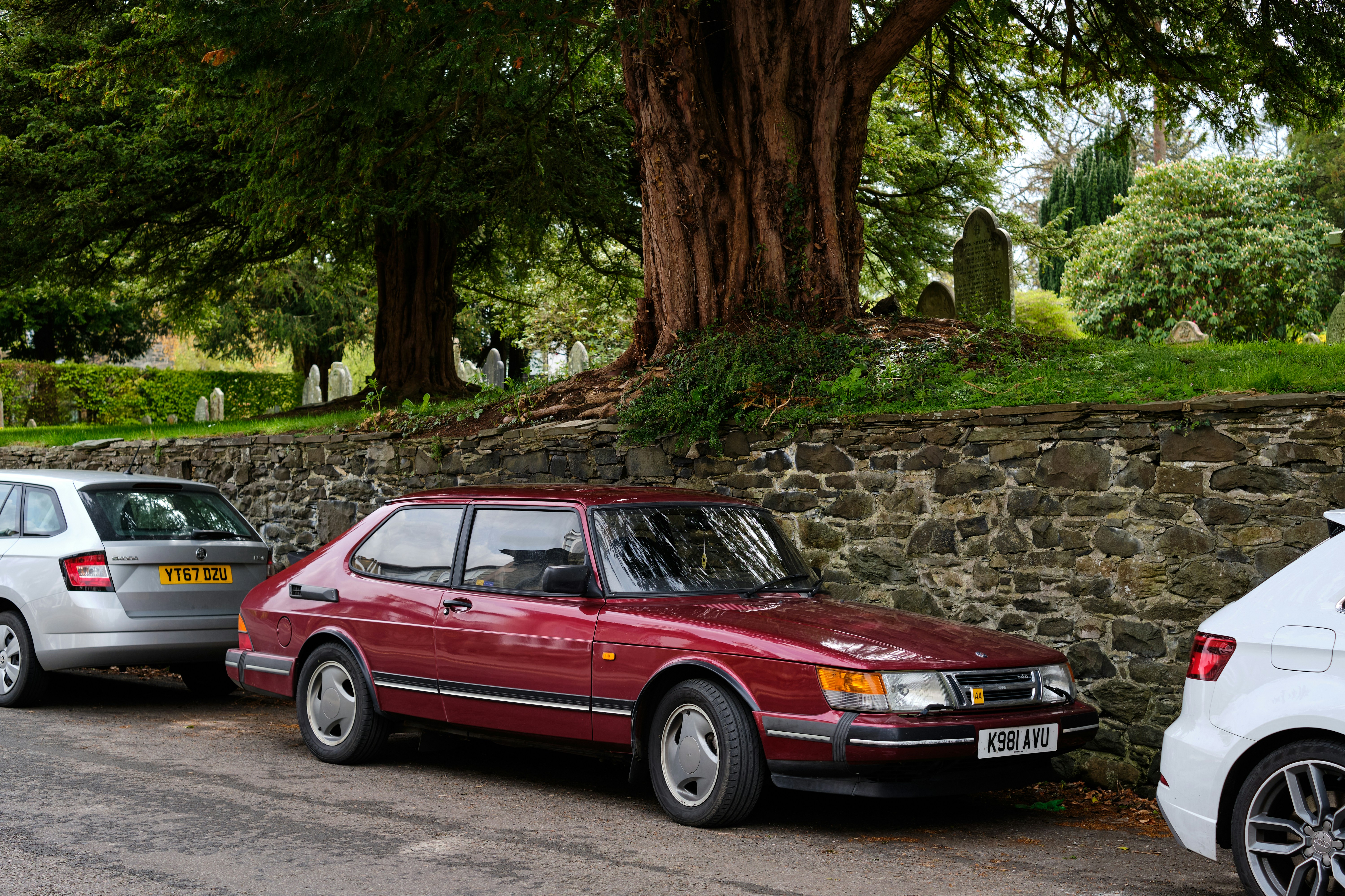 Photo by frostroomhead