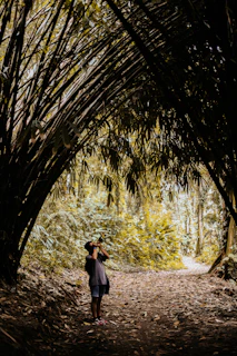 A traveler capturing the golden hour light while walking through Kyoto’s bamboo forest.